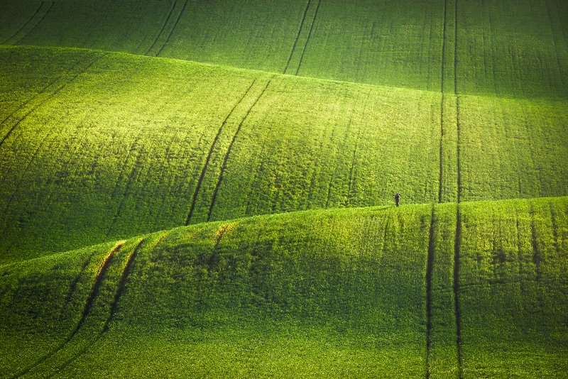 south moravia, czech, fields, spring Маленький фотограф фото превью