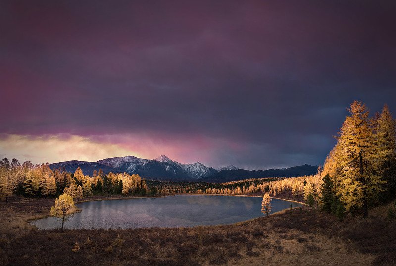 алтай, осень На рассвете фото превью
