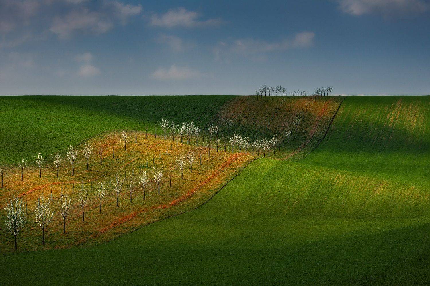 , Красимир Матаров