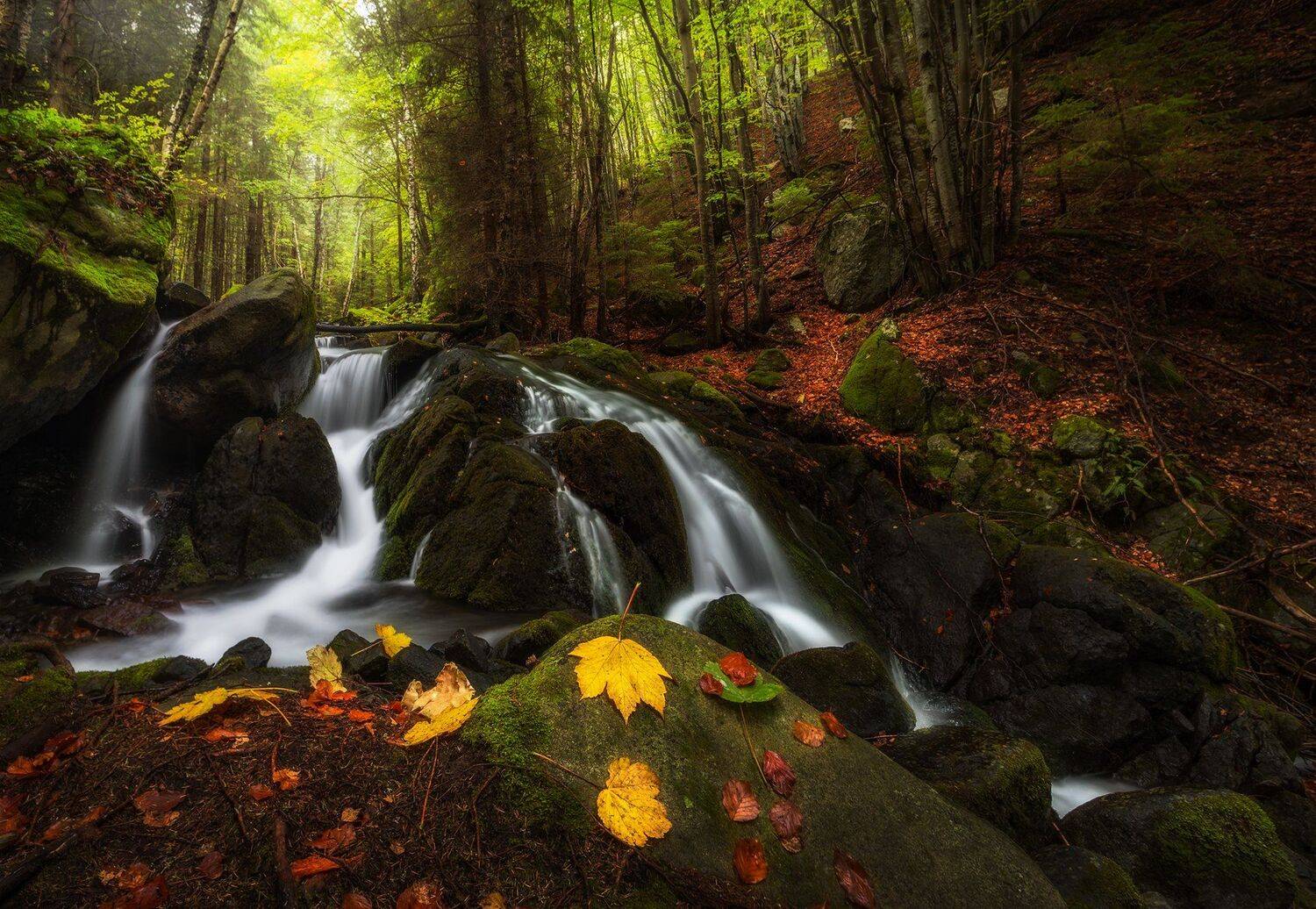 landscape nature scenery forest wood  mist misty fog foggy longexposure mountain vitosha bulgaria туман лес, Александър Александров