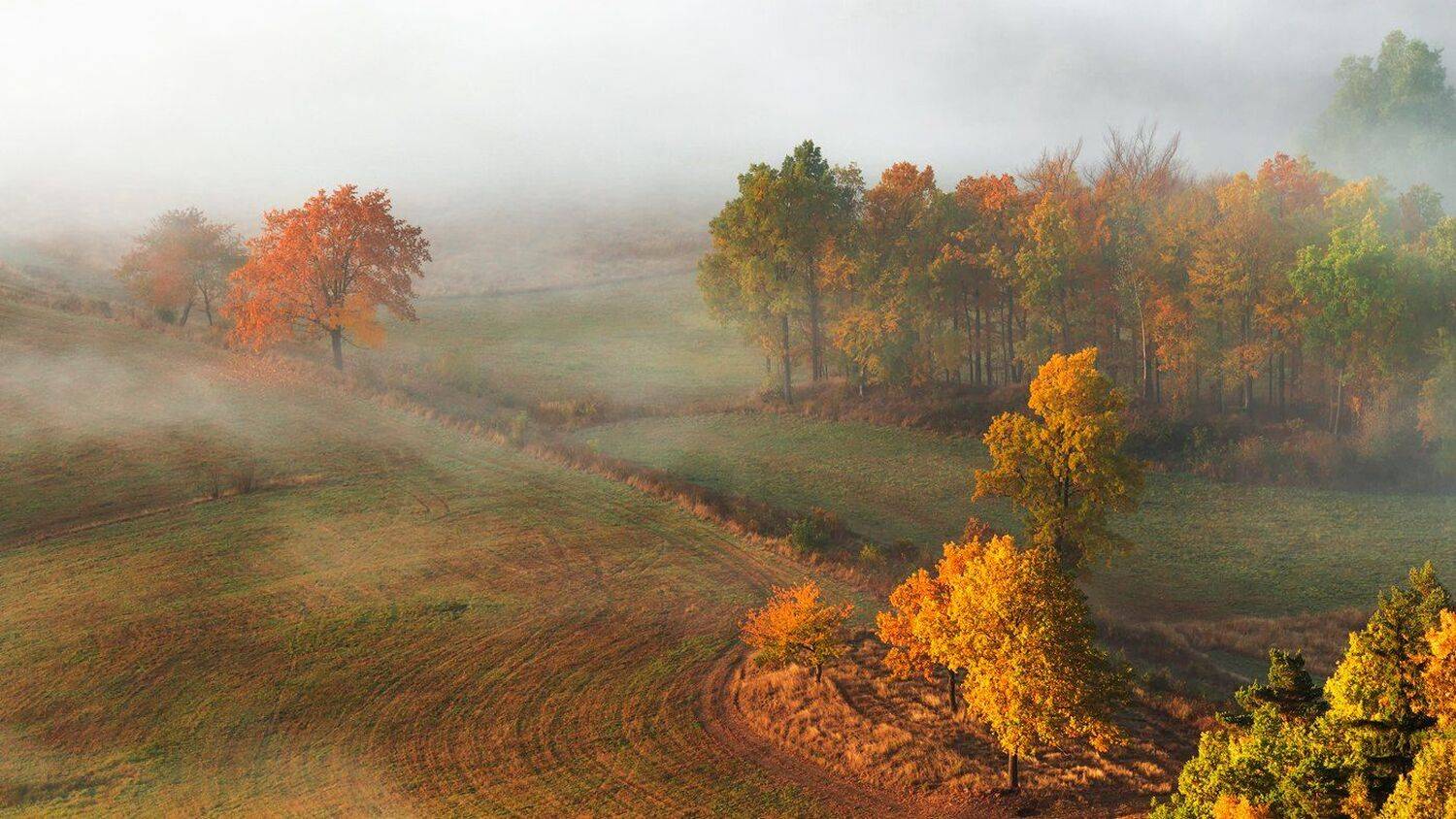 landscape,canon,mist,light,autumn, Iza i Darek Mitręga