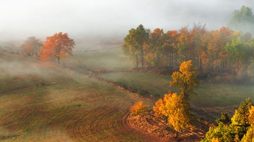 The Last Walk in Autumn....