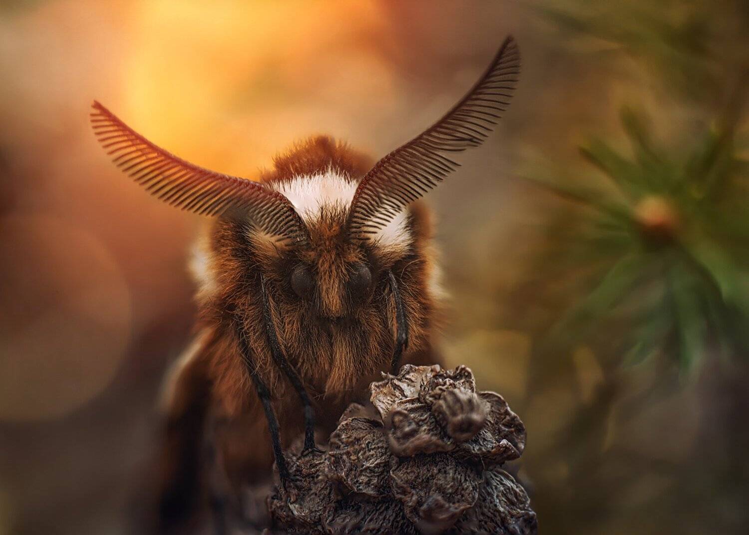 , Анастасия Третьякова