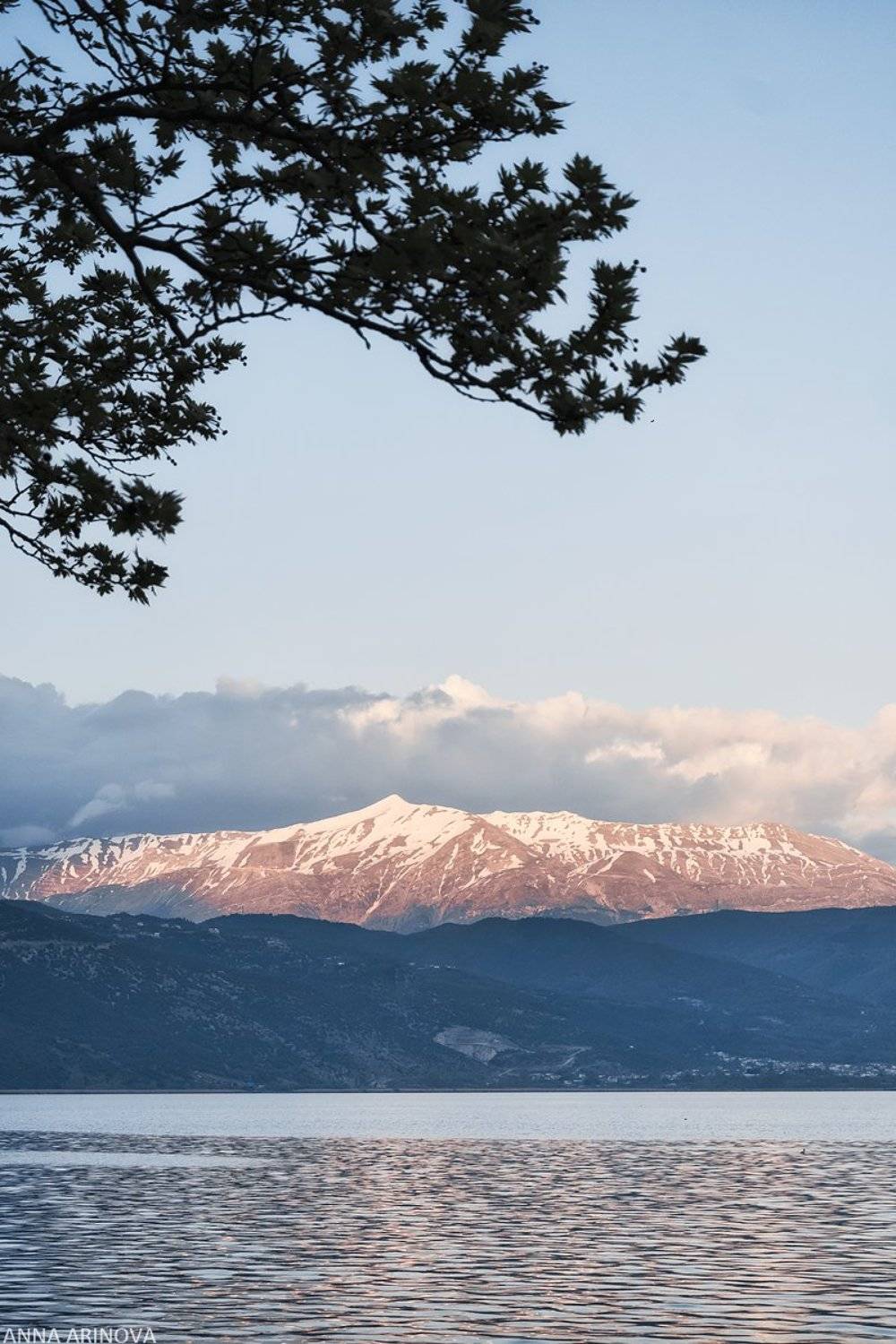 , Анна Аринова