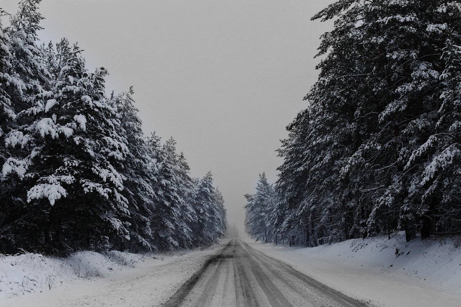 , Иван Карчев