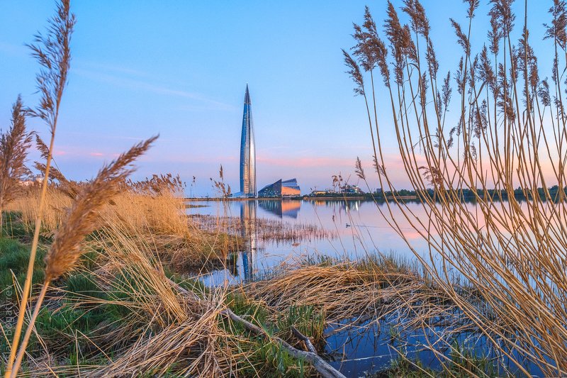 Питер, Санкт-Петербург, Лахтацентр *** фото превью