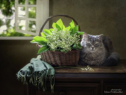 Уютная картина