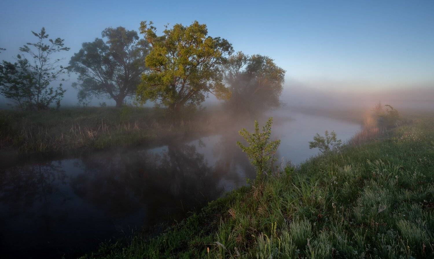 , Александр Бредихин