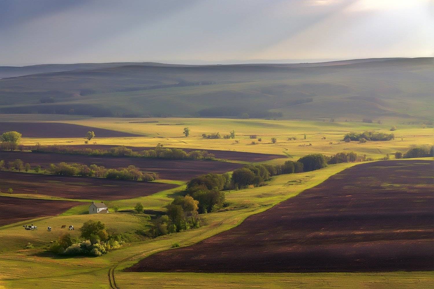 утро, рассвет, восход, туман, лучи, Леонид Максименко