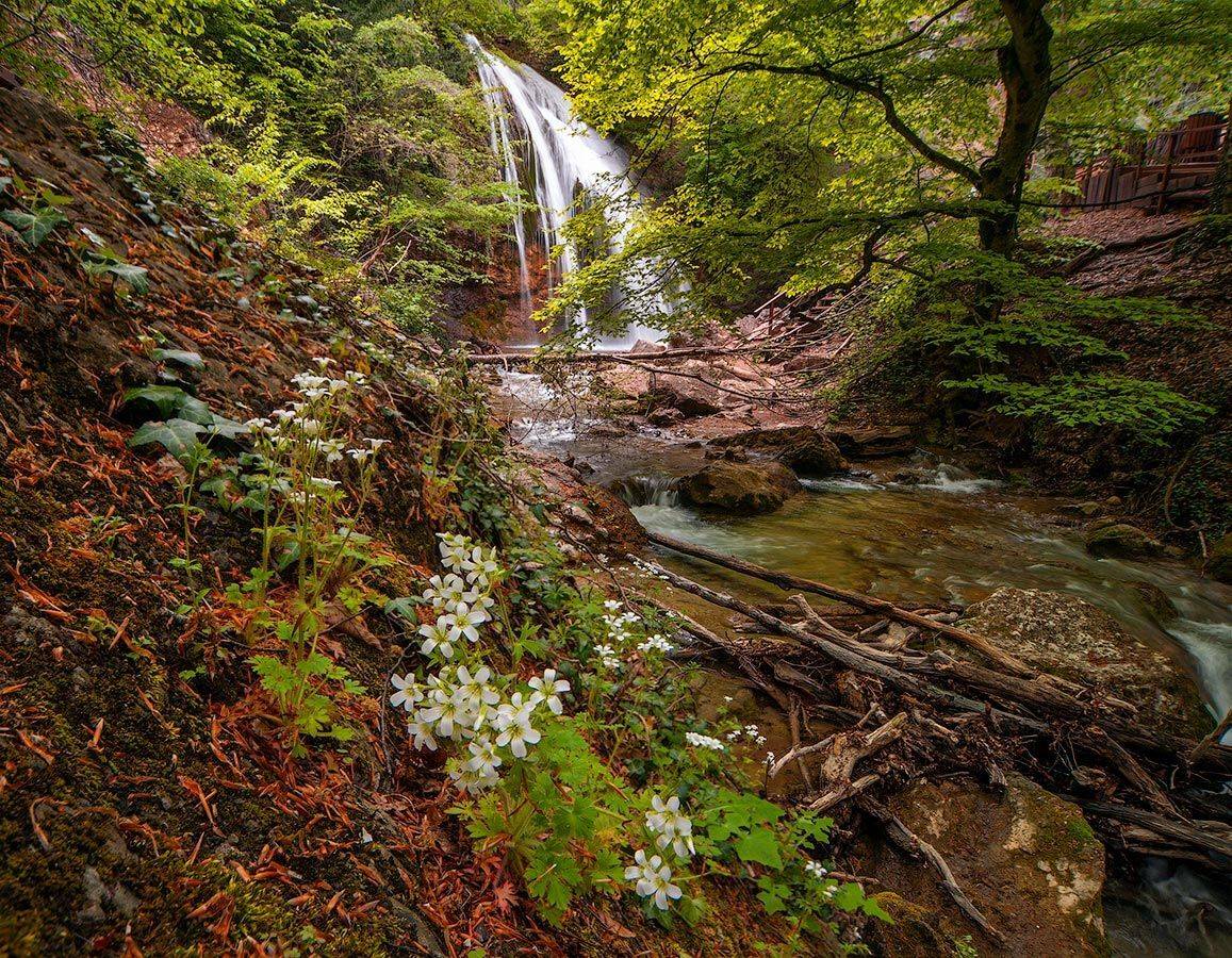 , Олег Логунов