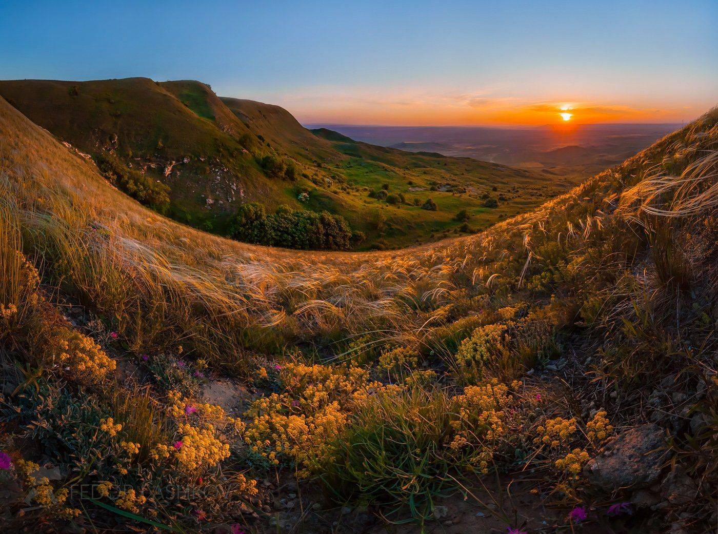 ставропольский край, фотопроект, открывая ставрополье, путешествие, природа, степь, трава, флора, закат, ковыль, драба, крупка, солнце, ставропольская возвышенность, холм, гора, разнотравье, Лашков Фёдор