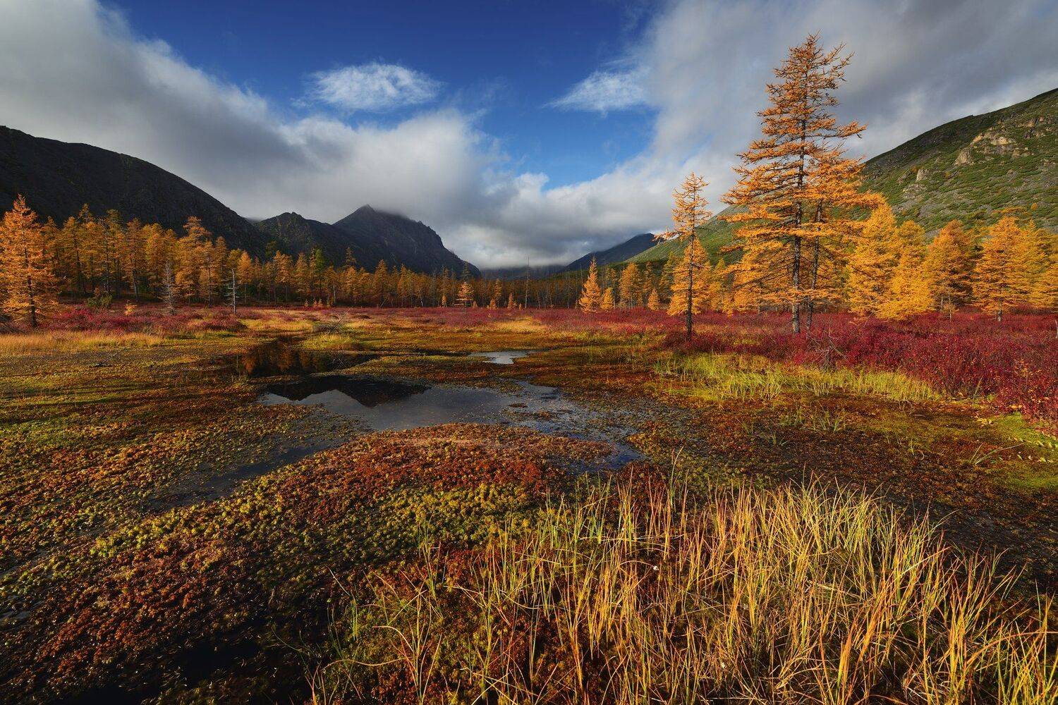 , Максим Евдокимов (phototourtravel.ru)