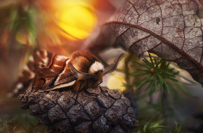 На закате фото превью