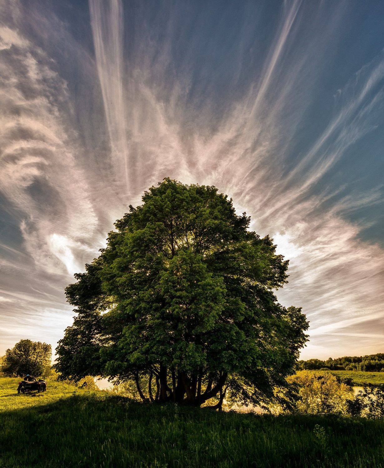 , Владимир Верендеев