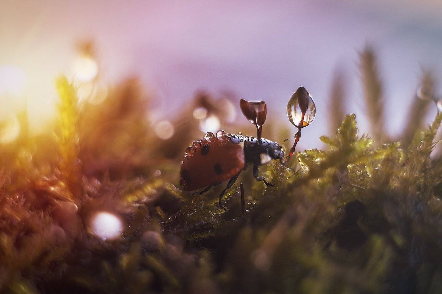 , Анастасия Третьякова