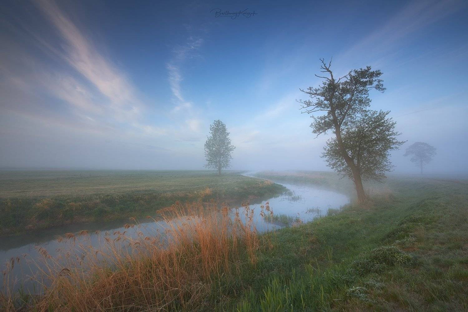 morning, ner, morning, dawn, spring, fog, willow, trees, river, nature, Bartłomiej Kończak