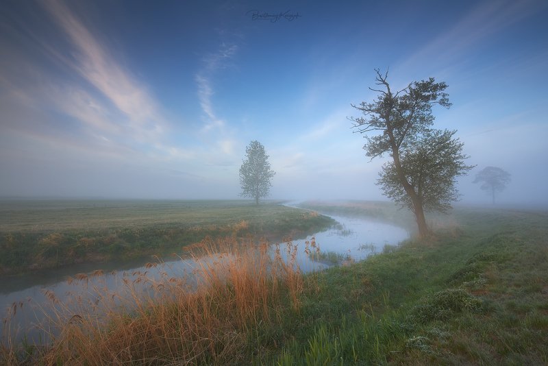 morning, ner, morning, dawn, spring, fog, willow, trees, river, nature  фото превью