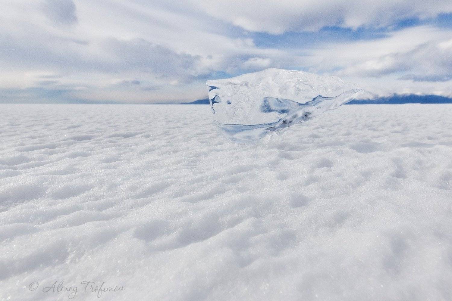 , Алексей Трофимов