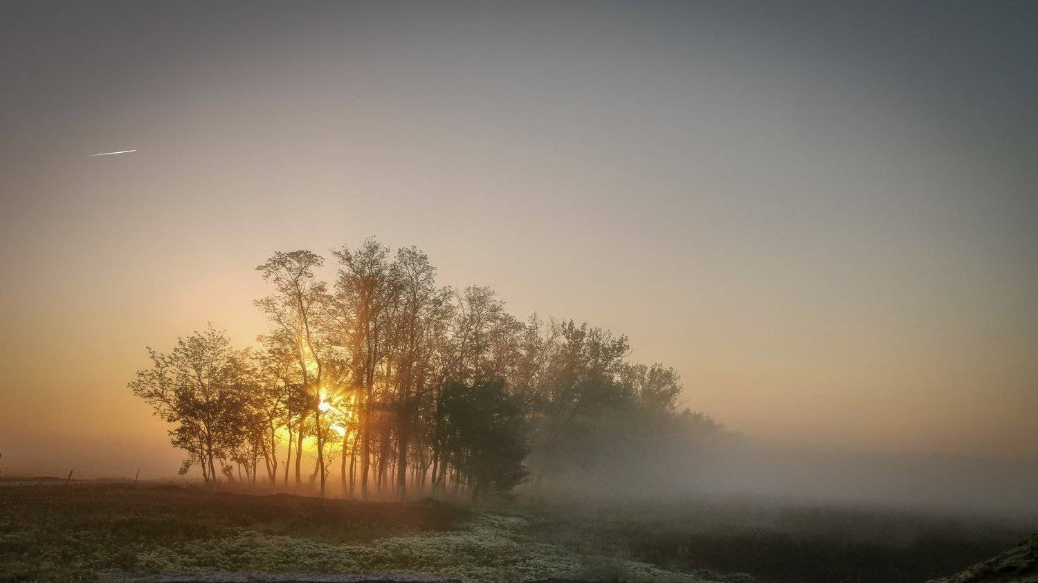 рассвет, утро, туман, солнце, Яэль (Юлия Ситохова)