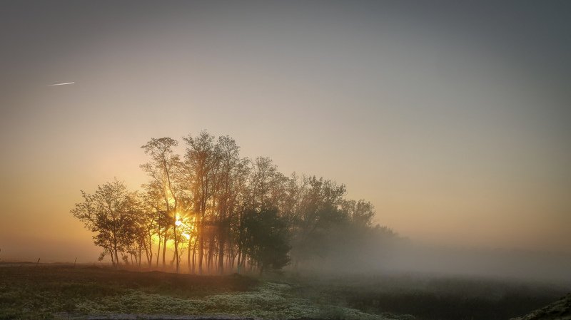 рассвет, утро, туман, солнце Рассвет фото превью