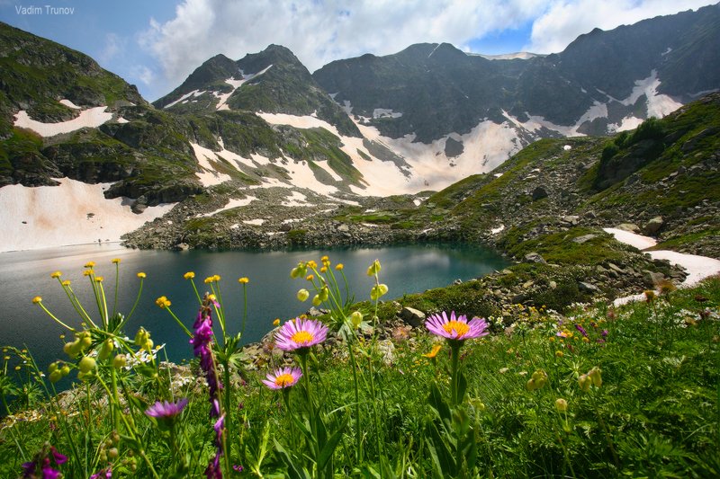 Цветы Дуккинского озера фото превью