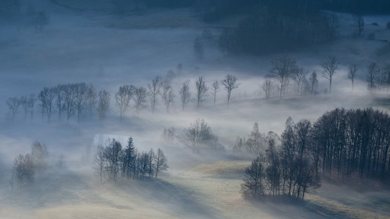 Notification Marcin Grzegorczyn фото превью