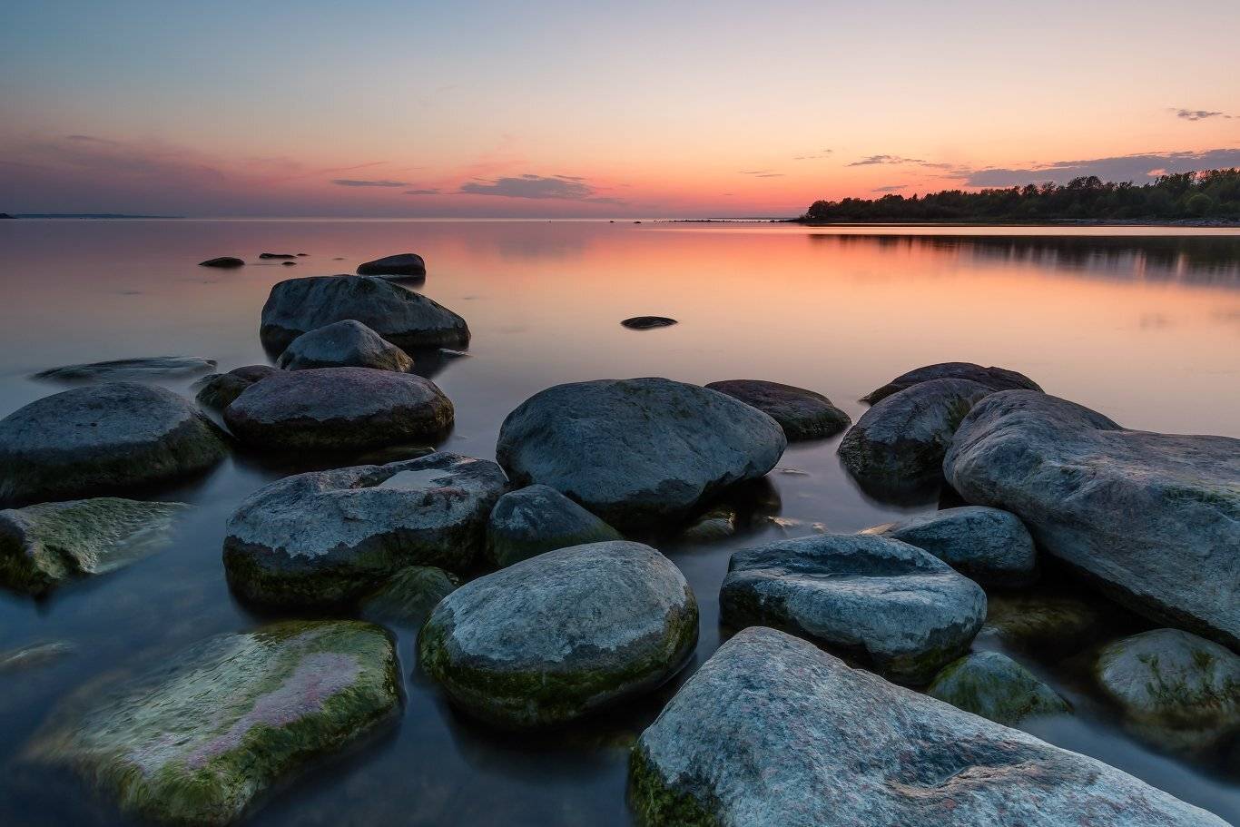 , Александр Абросимов