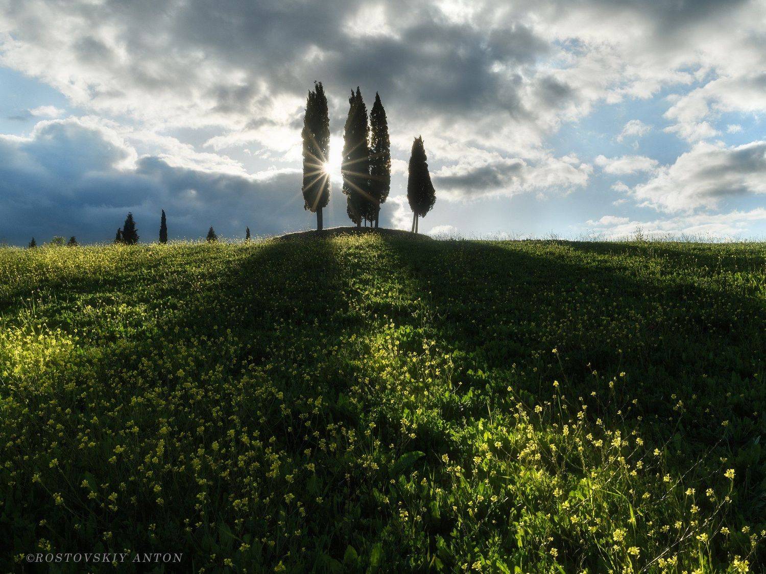 Тоскана, фототур, закат, лучи, кипарисы, Италия, Tuscany, Toscana, Italy,, Антон Ростовский