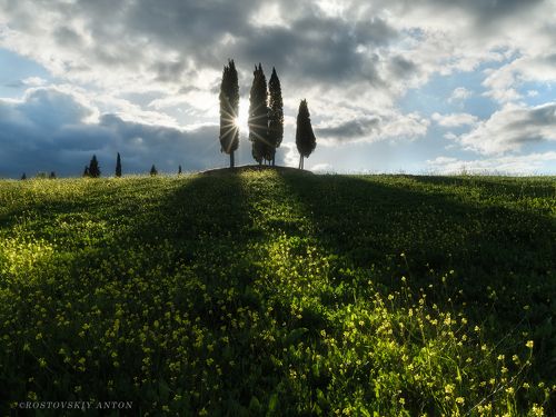 лучи вечернего солнца