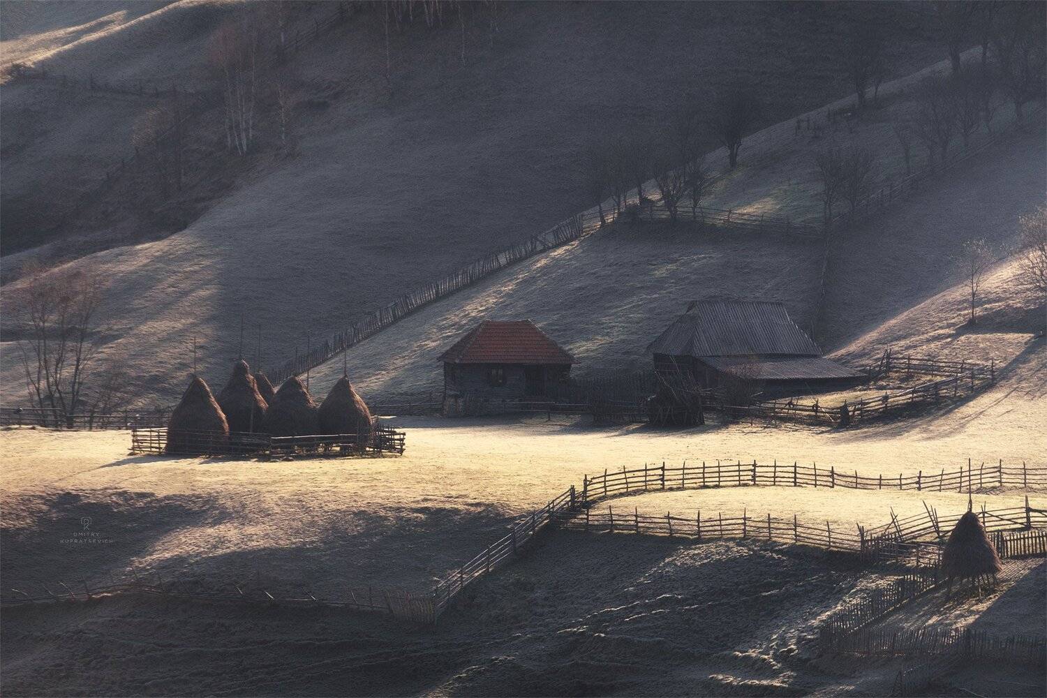 , Дмитрий Купрацевич