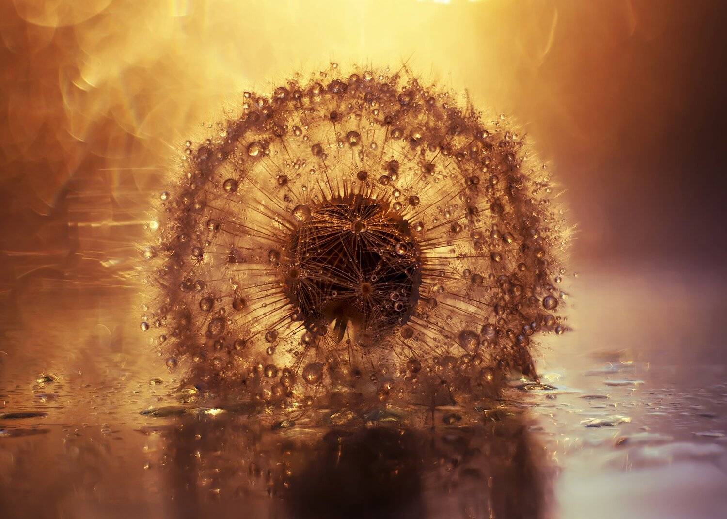 , Анастасия Третьякова