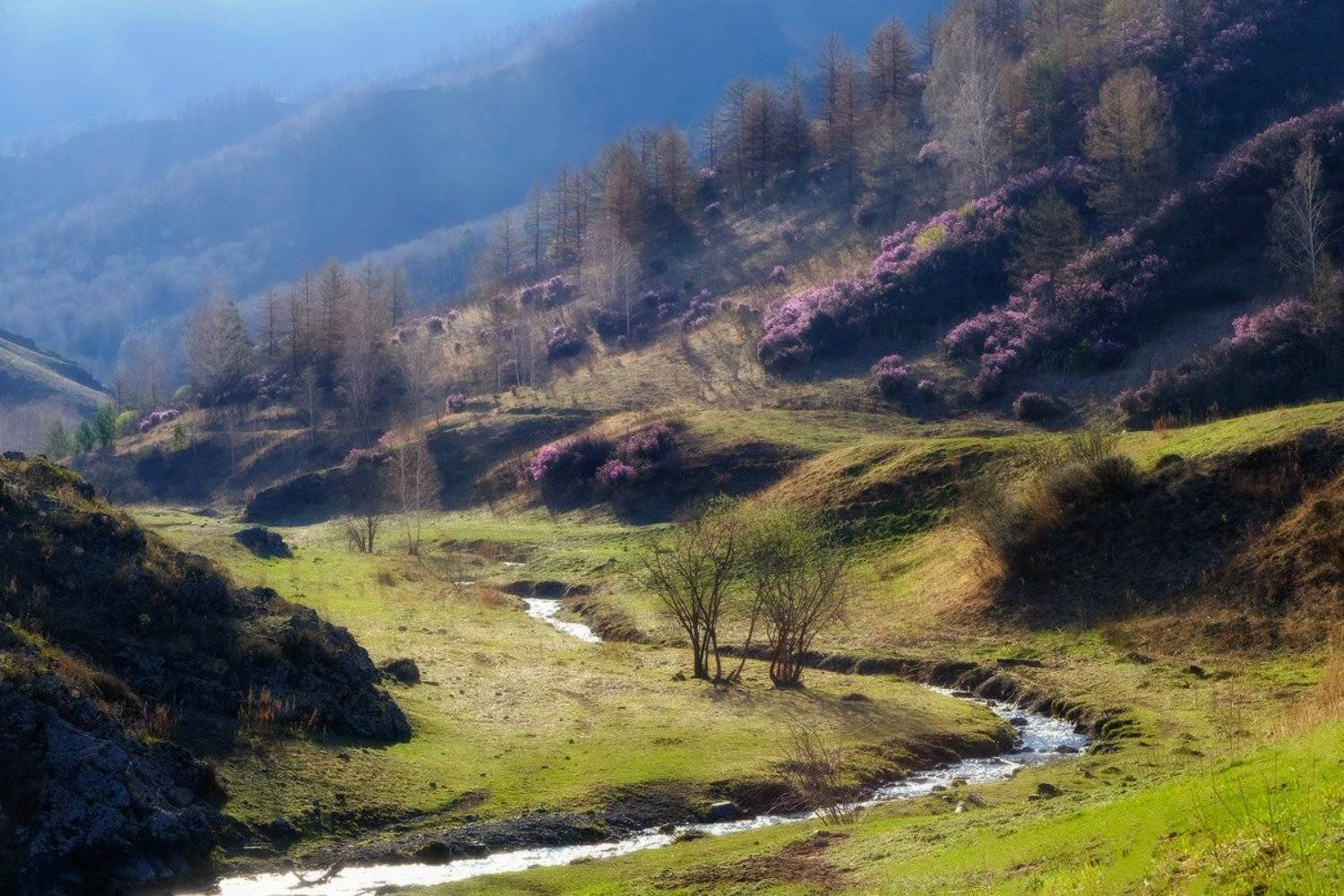 , Ольга Челдыкова