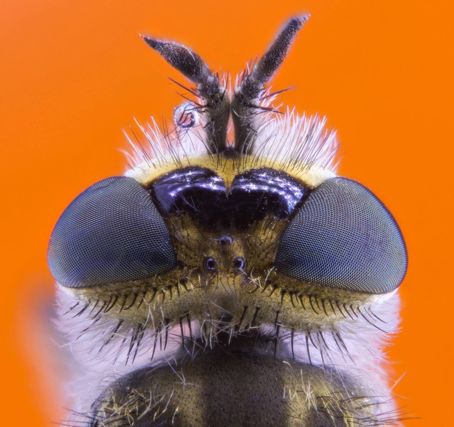 , Павел Сагайдак