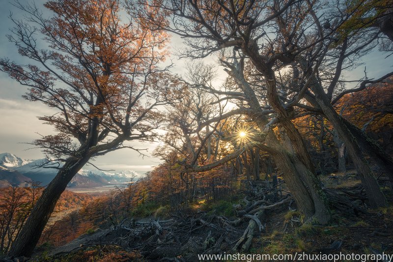 Осенние джунгли фото превью
