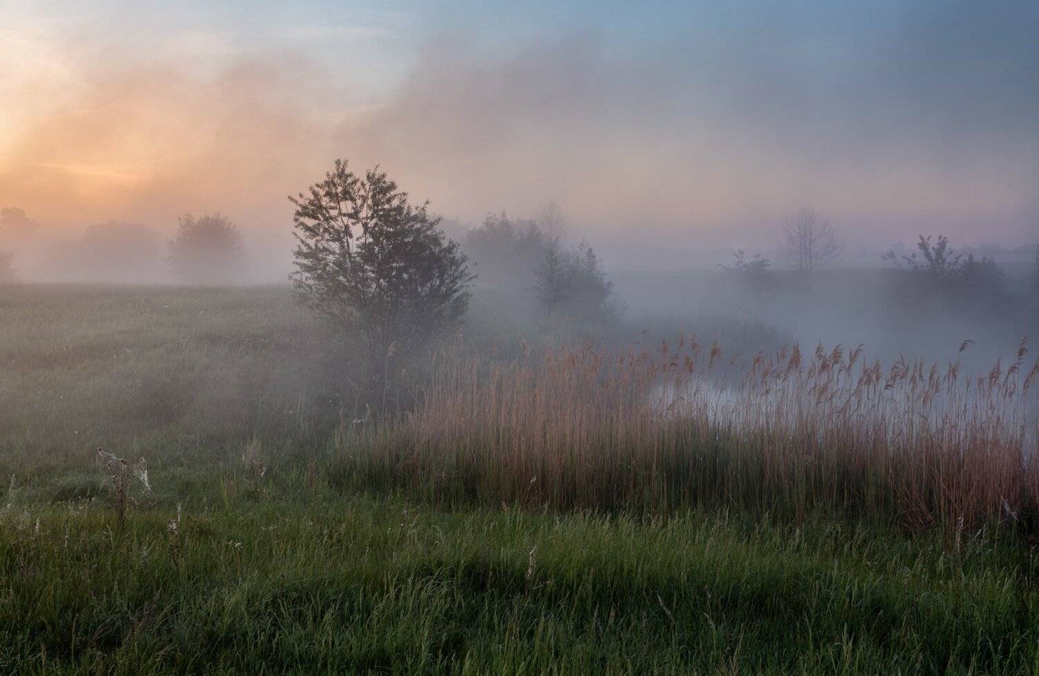 #пейзаж #туман #enhj, Александр Бредихин