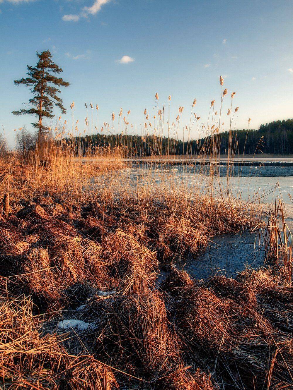 , Федотов Антон