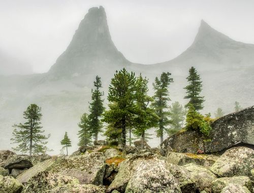 вышли братья из тумана