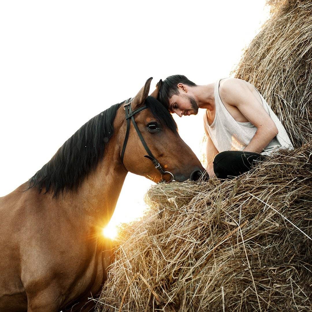 лето, лошадь, портрет, Бабинцева Мария