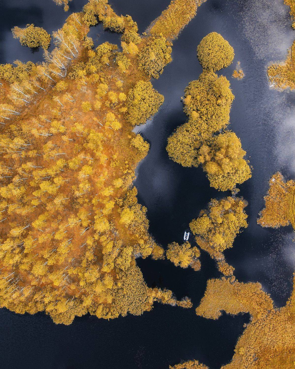 , Антон Шваин