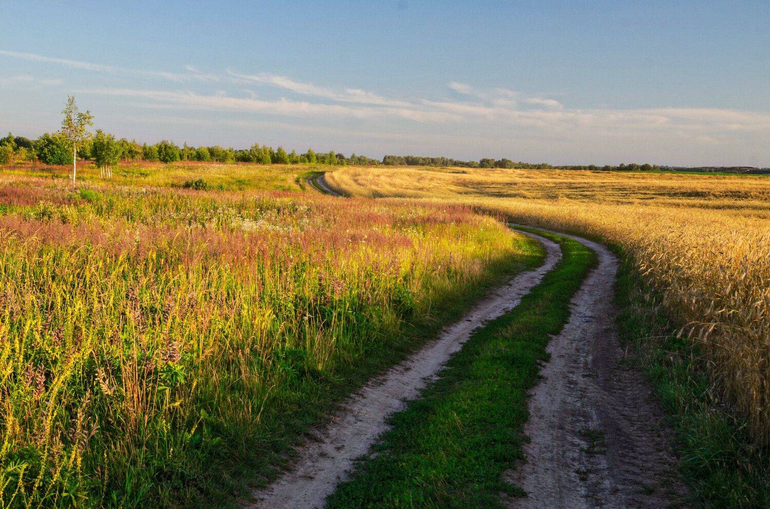 nevant60, пейзаж, красота, природа, Александр Березуцкий