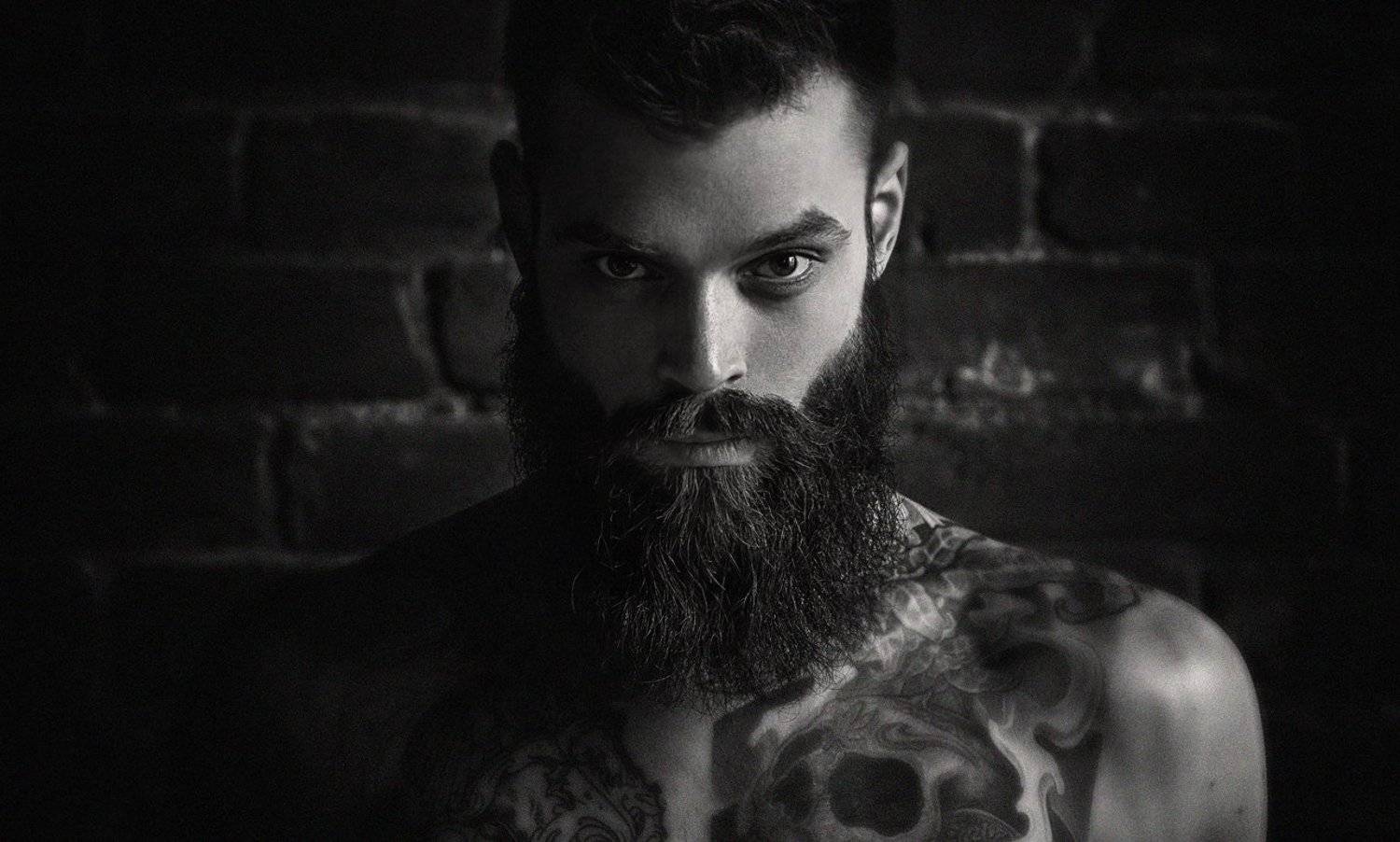 , Александр Губель