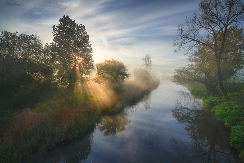 spring, nature, poland, landscape, river, fog, chełmno, ner, morning, magic, beautiful The Real Spring фото превью