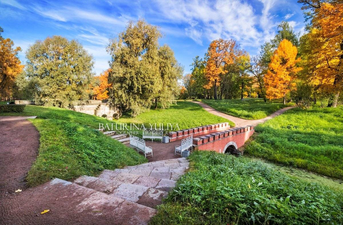 царское село, мост, канал, осень, башня-руина, Юлия Батурина