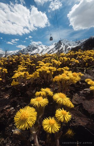 весна в горах