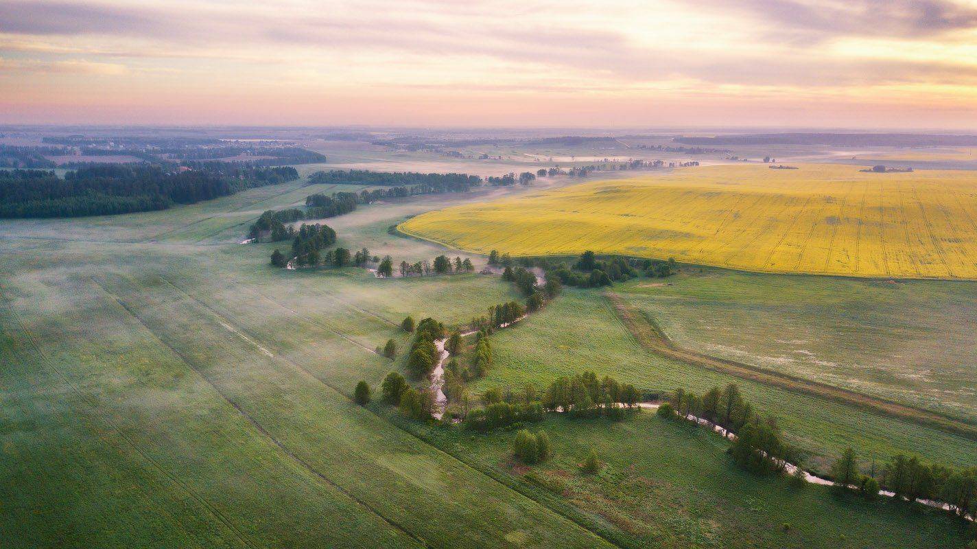 беларусь, весна, май, минск и окрестности, птичь, рассвет, туман, утро, Вейзе Максим