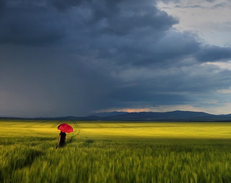 Red Umbrella Diaries II фото превью