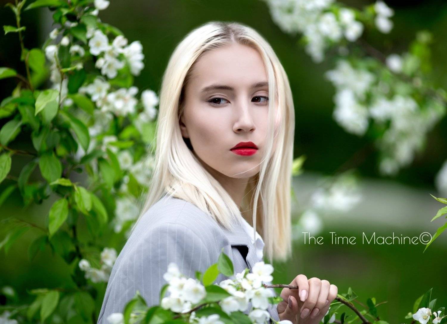 , Михаил Бове