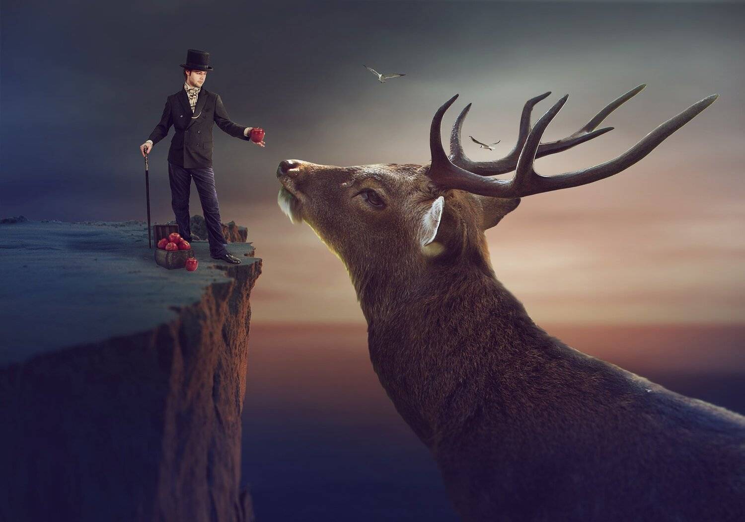 олень, мужчина, яблоки, скала, Sergii Vidov