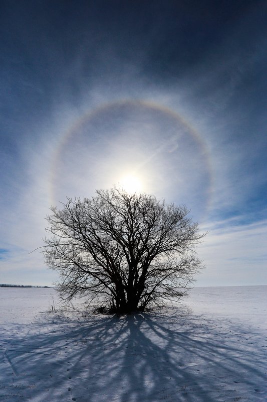 Гало фото превью