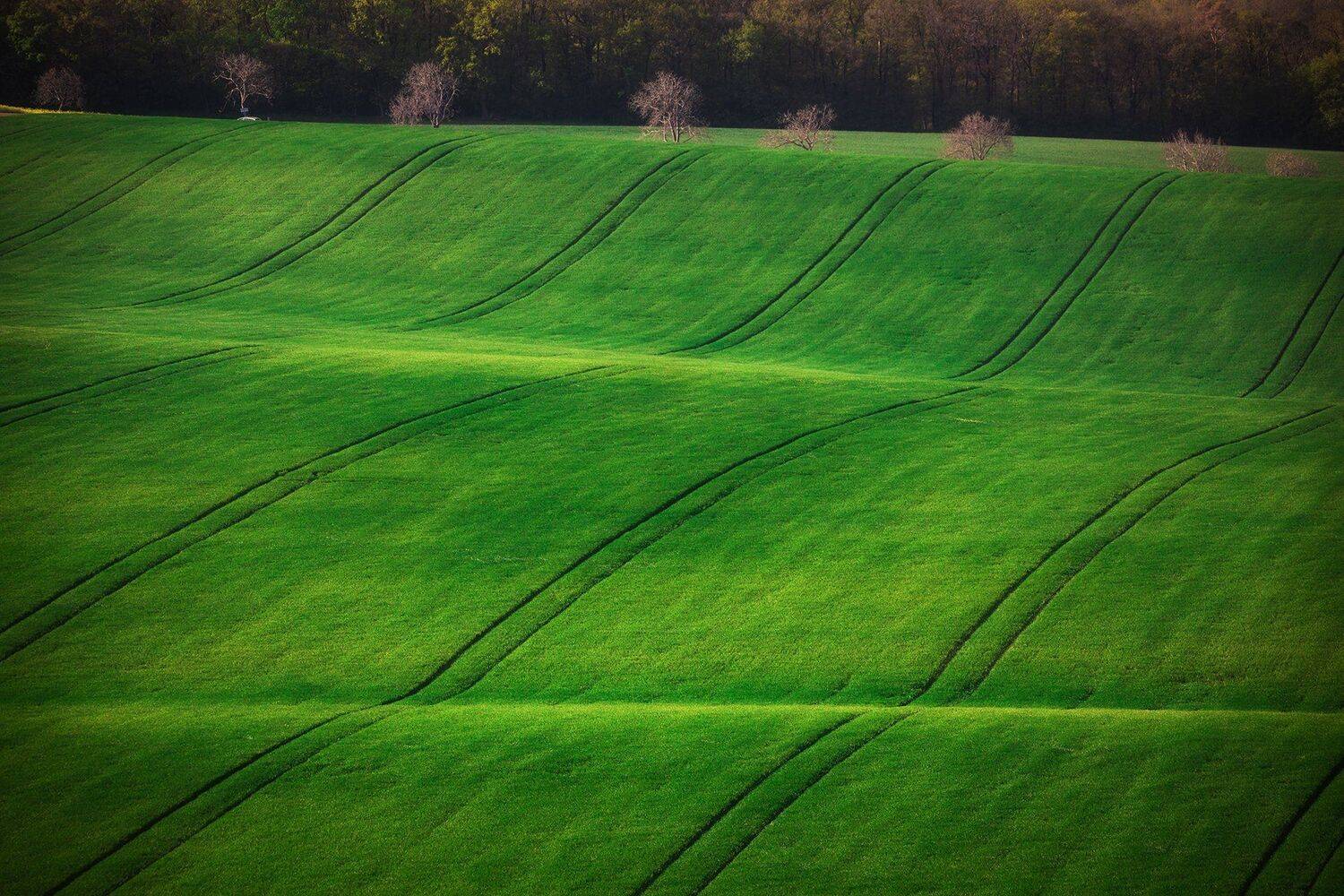 , Дмитрий Иванов